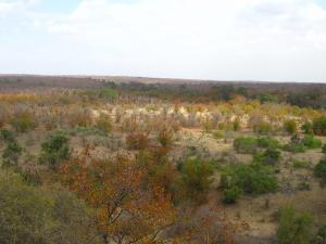 IMG 2677 - Kruger NP