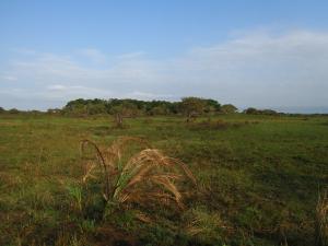 IMG 3451 - Natuurwandeling iSimangaliso Wetlands NP