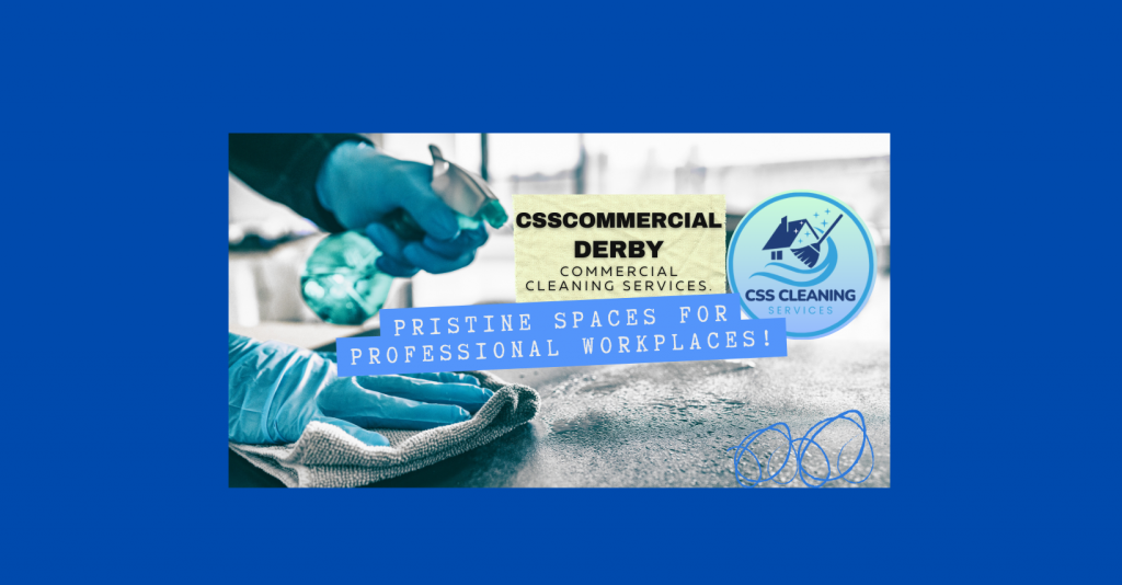 professional house cleaners