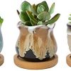 Warmplus Maceta de Cerámica para Plantas Suculentas 6.5CM, Macetas de Cactus para Plantas de Interior y Exterior, Pequeña Maceta de Flores Esmaltada con Drenaje y Bandeja de Bambú, Set de 3
