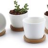 T4u 6 CM Ceramica Blanca Macetas para Flores Conjunto de 4, Diseño Simple Cerámicos Planta Maceta Suculento Cactus Planta Contenedor Vivero Macetas de jardín Envase