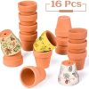 Ulikey Super Mini Macetas de Terracota, 16 Piezas Maceta de Pequeñas, 3cm Macetas Suculentas, Macetas de Plantas de Flores, Maceta de Jardinería, Mini Macetas de Terracota para Plantas Semillas Cactus - Imagen 5
