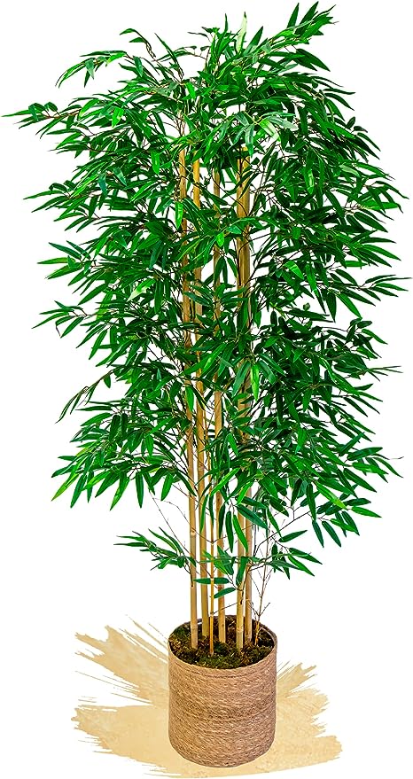 Bambu Natural