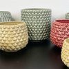Nordring Maceta Dotty - Macetero Decorativo Redondo para Flores e Plantas para Interiores M (12,5 cm ø), Amarillo, Cerámica - Imagen 5