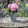 Jinfa Juego de 3 Macetas de Metal galvanizado para Plantas Flores maceteros Interior y Exterior cenicero | Tamaño: XL | Ø 24 cm x h 25 cm | 7,7L - Imagen 4