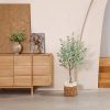 SOGUYI 120cm Eucalipto Artificial Plantas, Plantas Artificiales Decorativas de Eucalipto con Hojas de Dólar de Plata Blanco, Potted Decorativas Plantas para Hogar Oficina Modernos Decoración(1 Piezas) - Imagen 5