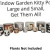 Window Garden Maceta para Gatos, Maceta Grande para Gatitos para Plantas de Interior, suculentas, Flores y Hierbas, macetas Bonitas, Gran Regalo para los Amantes de los Gatos (Sebby) - Imagen 7