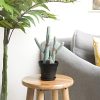 T4u 12,5cm Macetas plástico con platillo,Maceteros Decorativos Interior con Agujeros de Drenaje, Macetas para Plantas Flores,Decoración del Hogar Balcón Jardín,Juego de 6,Negro - Imagen 7