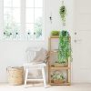 UTMACH 1 Piezas 65cm Plantas Colgantes Hiedra Falsa, Planta Artificial Colgante de Helecho Hiedra Falsas para Salón, Dormitorio, Cafetería, Pasillo, Jardín - Imagen 4