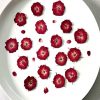 WJIAEER 40PCS Flores secas naturales Rosa Flores secas reales para resina en relieve con pinzas de codo - Imagen 3
