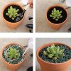 OUNONA - Macetas de terracota de tamaño mini, 3 cm, con agujero de drenaje, para vivero, cactus y plantas suculentas, 10 unidades - Imagen 6