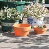 Operitacx Maceta de Flores Poco Profunda 6 Piezas de Barro para Plantas - Imagen 4