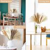 SunAurora 50 Piezas Hierba de Pampas Secas,Naturales Flores Secas,Pampas Grass para Decoración del Hogar, Boda Campestre, Decoración de Estilo Bohemio - Imagen 6