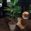 UTMACH 2 Tabletas Rejilla Protectora para Macetas, Rejilla Protectora de Plantas Rejilla para Maceta para Flores para Proteger Las Plantas del Daño Causado por Bebés y Mascotas - Imagen 4