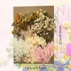 Cayway Flores Secas Naturales, Flores Secas Mezcladas, Flores Secas Prensadas Naturales, Flores Prensadas Manualidades para Manualidades Scrapbooking Manualidades - Imagen 2
