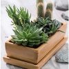 botle Maceta de cerámica, cuenco para flores, cuenco para cactus, posavasos, cactus, bonsái, suculentas (rectangular, gris claro) - Imagen 4