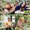 Stronrive Eucalipto Ducha, 10 Piezas Plantas Eucalipto Natural para La Ducha, Hojas Eucalipto Real para La Decoración Vegetación, Aromático Auto Cuidado Hojas Eucalipto Bundle - Imagen 9