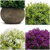 BELLE VOUS Mini Plantas Artificiales Decorativas Verde, Purpura y Blanco (Pack de 4) Macetas Artificiales Decoracion para el Hogar, Oficina, Baño, Cocina, Escritorio, Repisa y Planta Artificial Mesa - Imagen 4