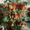 YLLQXI Pequeñas Macetas de Arcilla, 5 Ruedas de Fresa Huerto Balcón, Macetas, Apilable Flor Torre Multi-Capa de Tiesto, para Cactus, Plantas Suculentas y Flores - Imagen 4