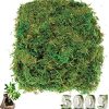 cersaty® Musgo artificial de 500 g, plantas artificiales, simulación de liquen verde para floristería y decoración de manualidades