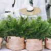 KOSHIFU 4 Pcs Planta Artificial Exterior Helecho Artificial Arbusto Plantas de Plástico para Salón Mesa Patio Jardineria Jardin Valla Plantas Tropicales para Interior e Exterior - Imagen 7