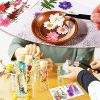 MAX COOK 30 Piezas Flores Prensadas Secas Reales Flores Secas Naturales Decoración con Pinzas para Resina Albumes de Recortes Arte Manualidades (3 Packs) - Imagen 7