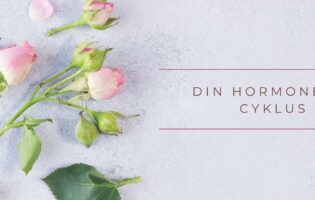 Copy of hormonboost nyhedsbrev header banner