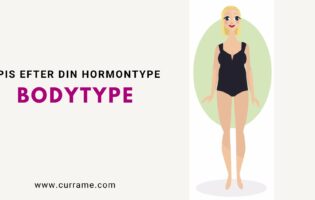 bodytype modul 2