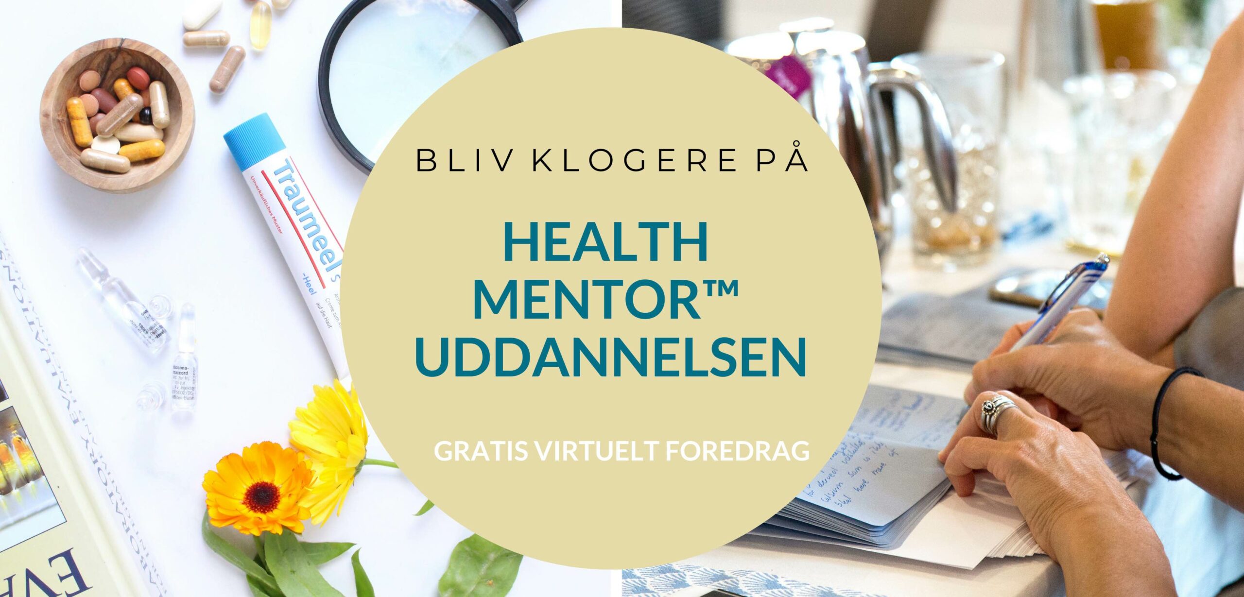 Copy of Health mentor foredrag og webinar - 6