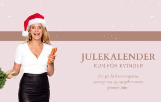 julekalender - 1