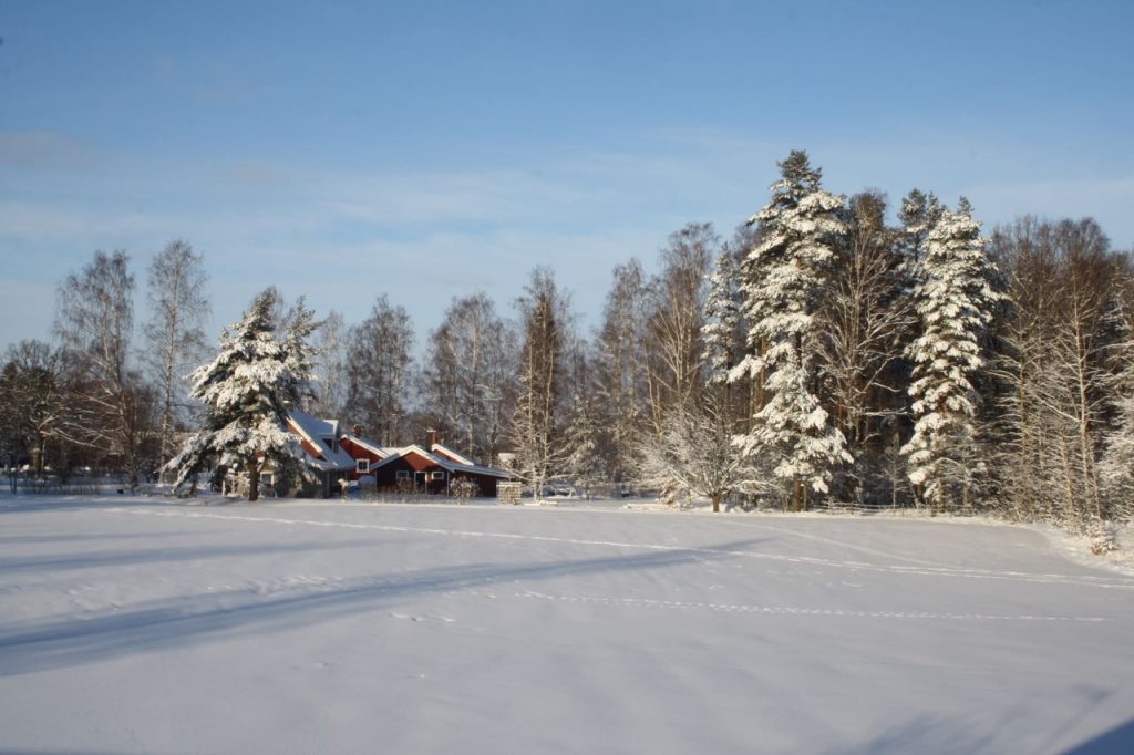 Vinter i Testa