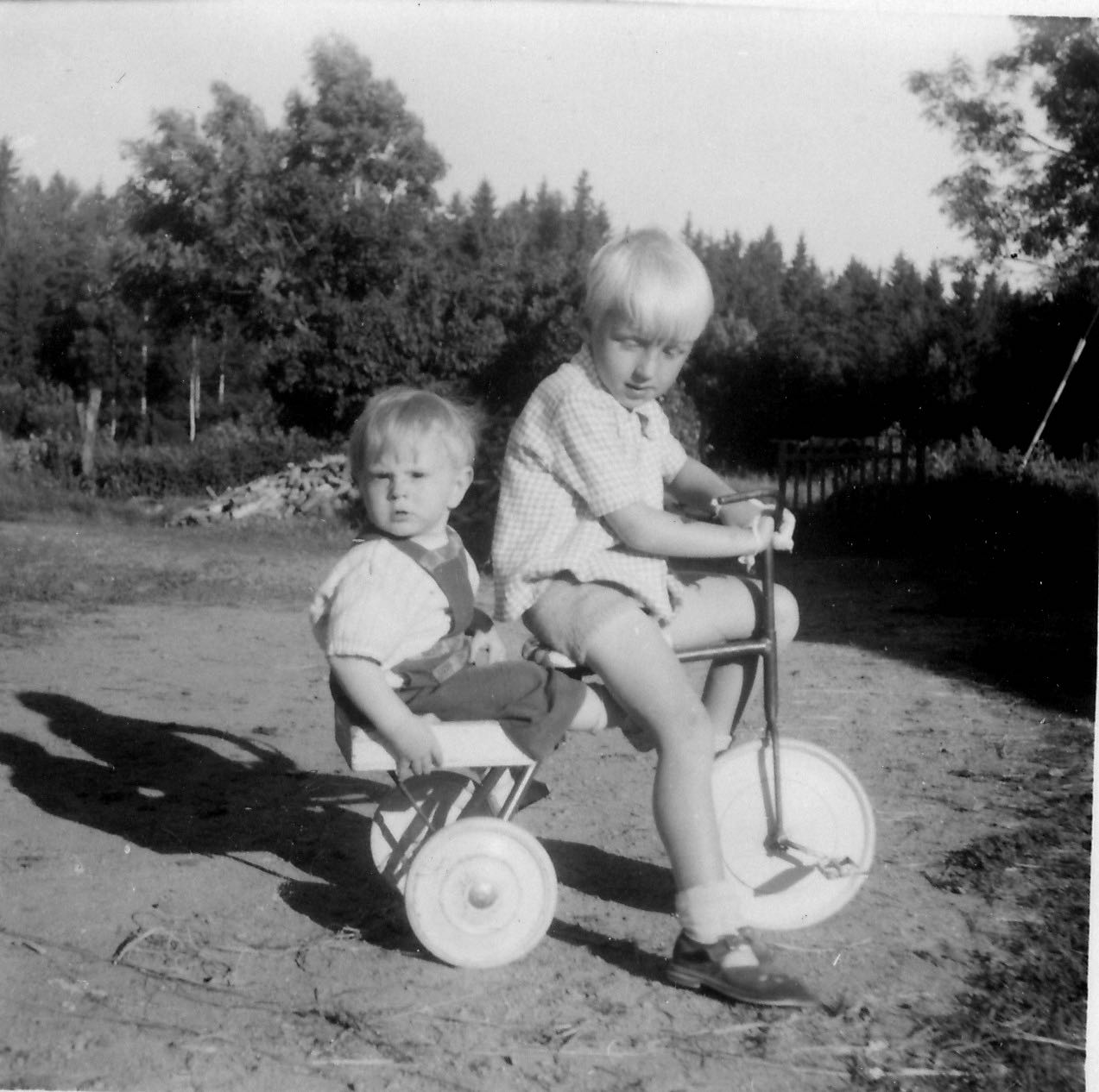 Trehjuling