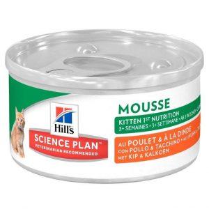Kitten Mouse (1)