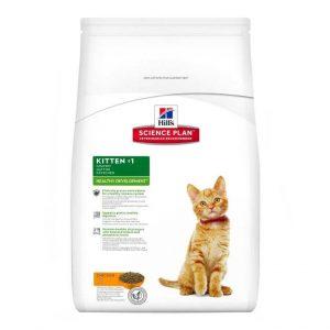 Kitten healthy development chicken (1)