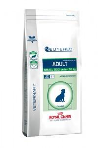 Adult Small Dog - Weight & Dental