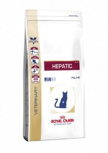 Hepatic