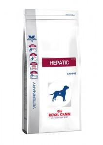 Hepatic