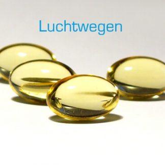 Luchtwegen
