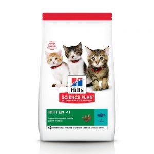 Hill's kitten tuna