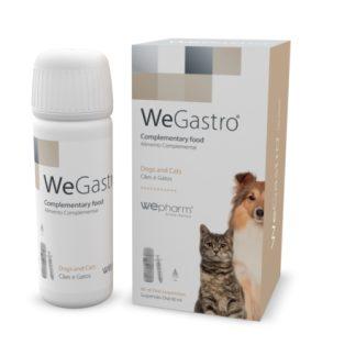 WeGastro