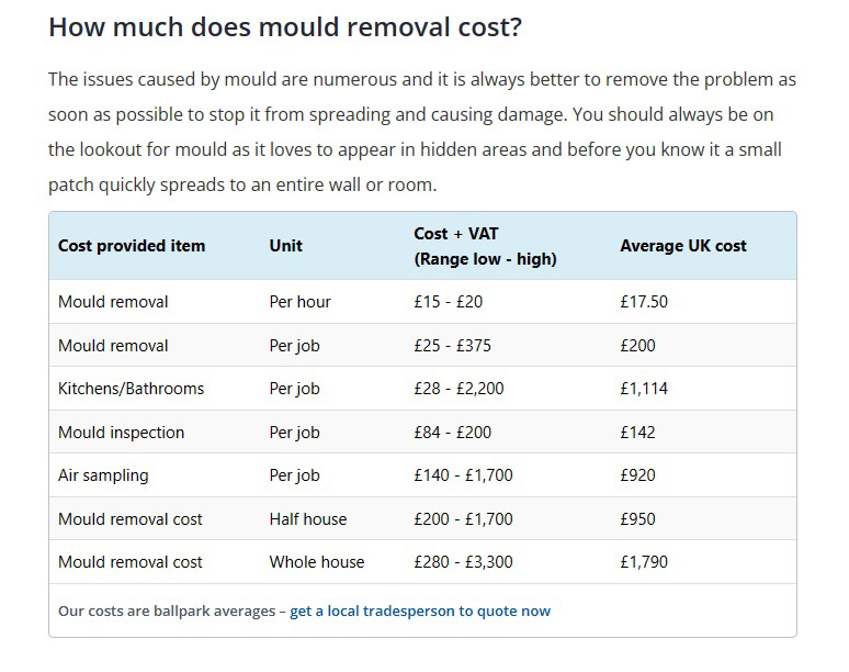 Professional Mold Removal