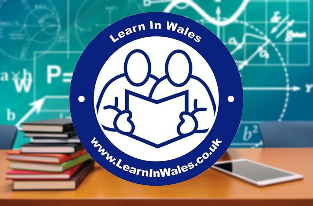 LEAN IN WALES BANNER AD - DOMAIN NAME FOR SALE