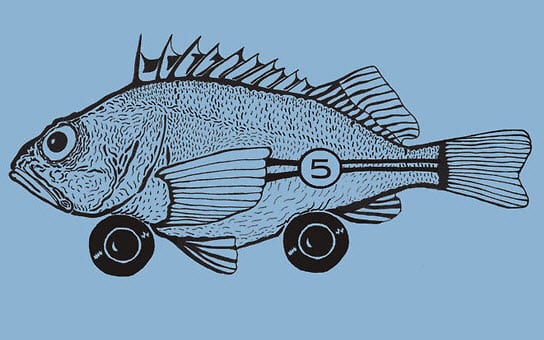 Racing fish