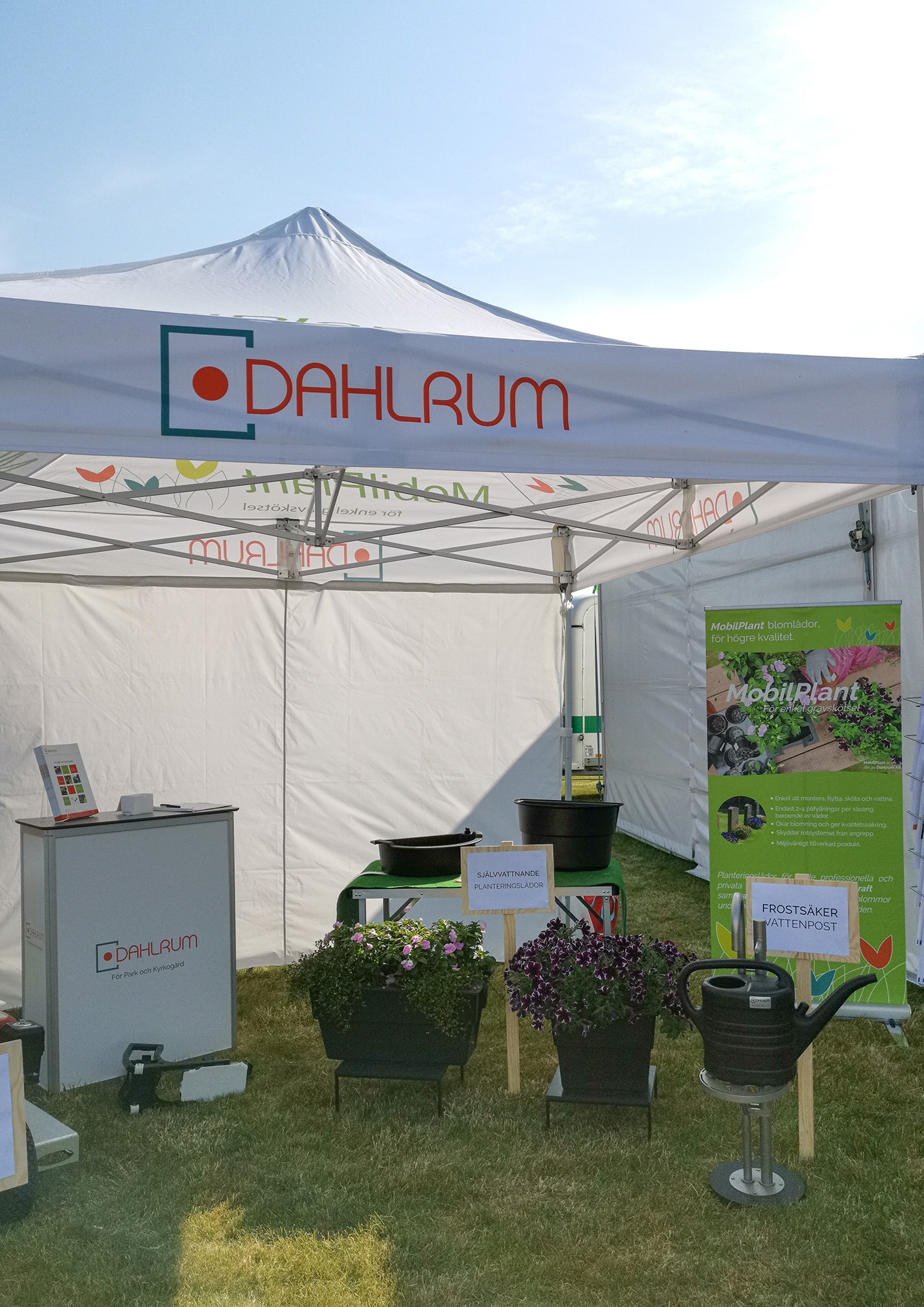 massa_dahlrum_2 massa_dahlrum_2