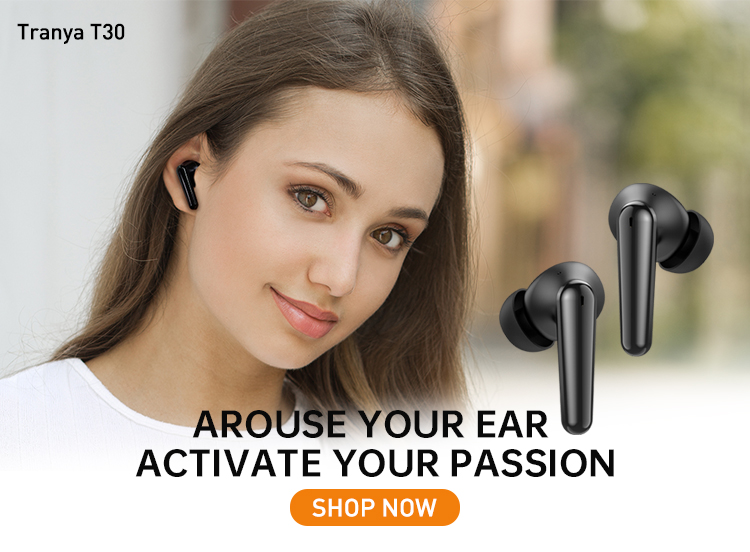 Hurry to Buy Trusted In-ear Tanya T30 For Super 50% Off