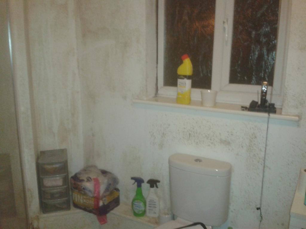 bathroom before