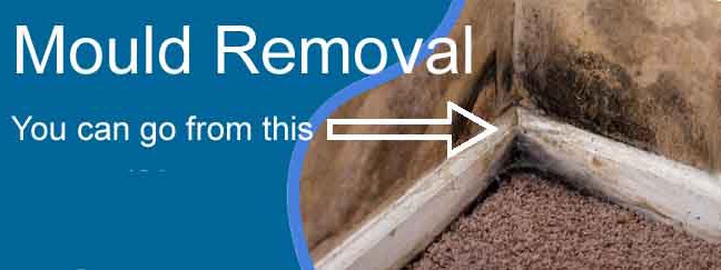 mould_removal