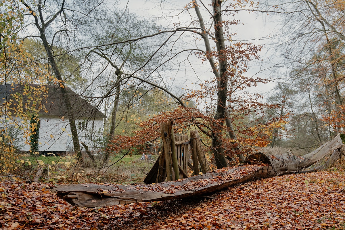 Danish-Woodlands-ouegaard-skov2