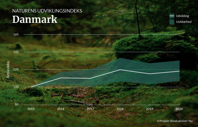 Forskningsprojekt viser overraskende fremgang for bynaturen. Kilde: Danmarks Naturfredningsforening.