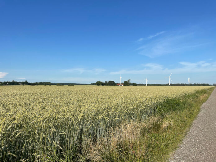 Hjørring Kommune åbner ny ansøgningsrunde om vindmøller og solcelleparker. Foto: Hjørring Kommune.